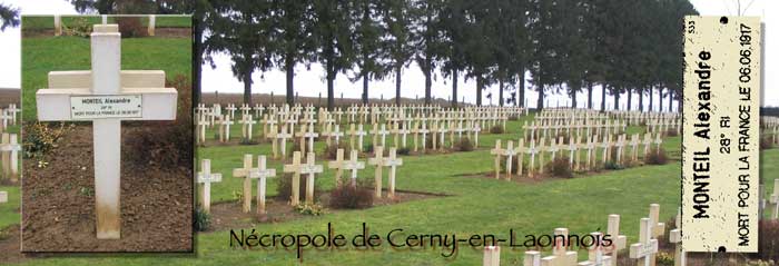 La nécropole de Cerny-en-Laonnois