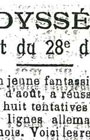 Un bleuet de 1917